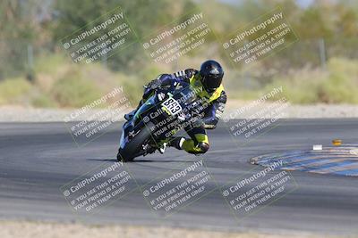 media/Nov-11-2023-SoCal Trackdays (Sat) [[efd63766ff]]/Turn 2 Set 1 (1125am)/